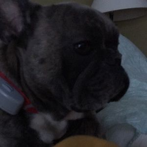 Meet your Posher, Tricia